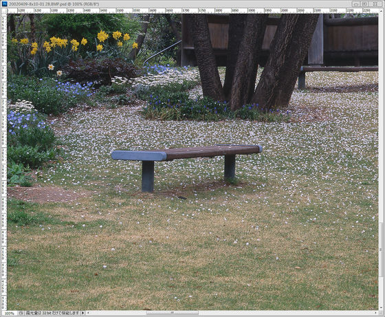 森を見ずして木ばかり見る