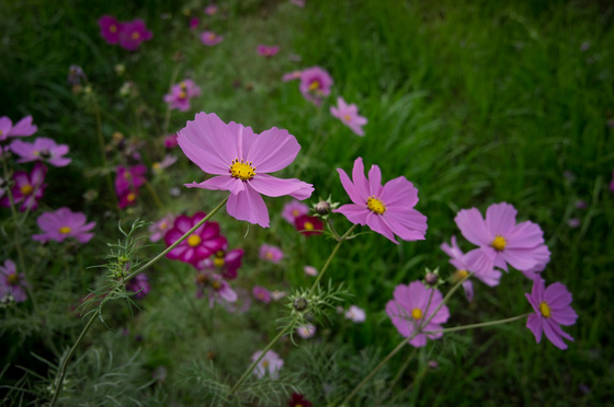 Carl Zeiss C Biogon T* 4.5/21 ZM Test