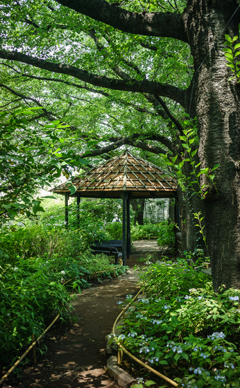 としまえん・あじさい祭り