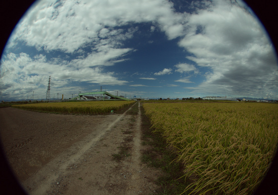 Fisheye PL Test