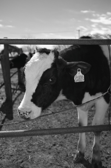 モノクロ・ポートレート