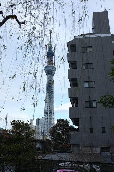 東京スカイツリー