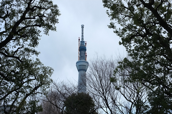 東京スカイツリー