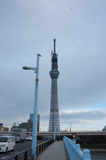 東京スカイツリー