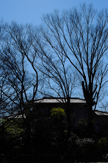 X-Pro1 & XF35mmF1.4 R Test