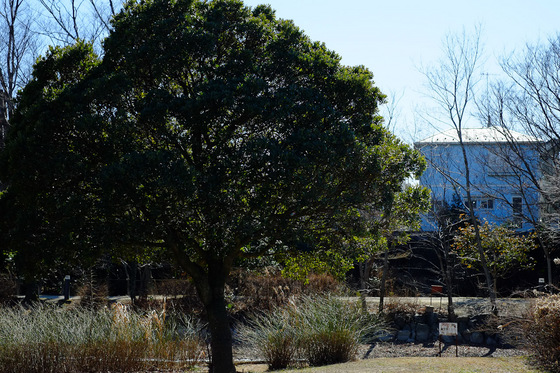 X-Pro1 & XF35mmF1.4 R Test