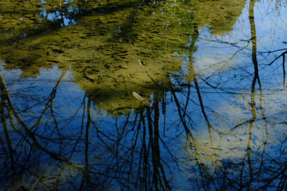 X-Pro1 & XF35mmF1.4 R Test