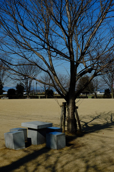 X-Pro1 & XF35mmF1.4 R Test