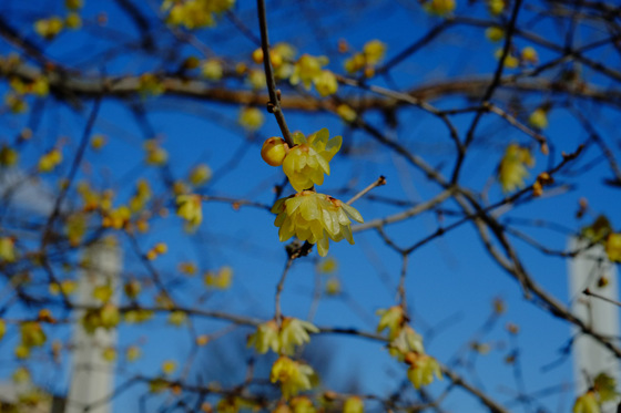 X-Pro1 & XF35mmF1.4 R Test