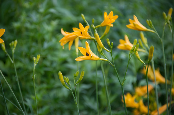 尾瀬・一泊撮影旅行