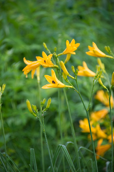 尾瀬・一泊撮影旅行