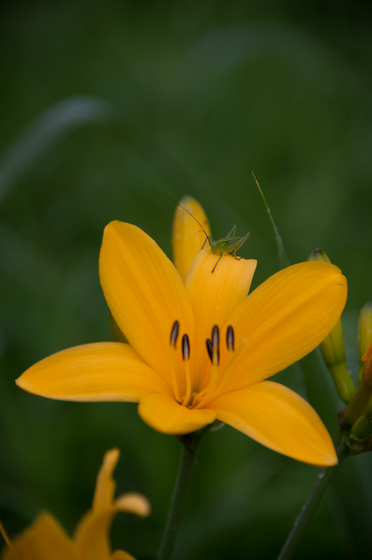 尾瀬・一泊撮影旅行