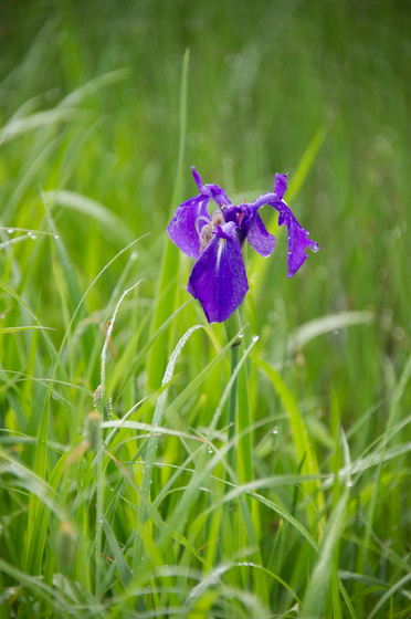 尾瀬・一泊撮影旅行