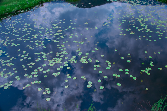 尾瀬・一泊撮影旅行
