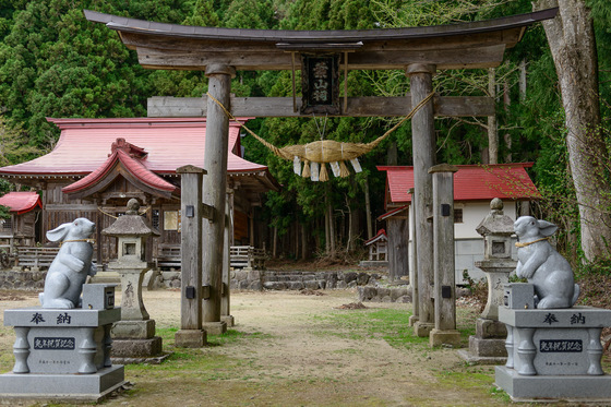 置賜さくら回廊