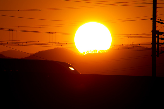 今年最後の夕日