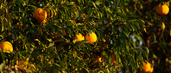 Lightroom 4 beta Test