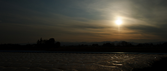 Lightroom 4 beta Test