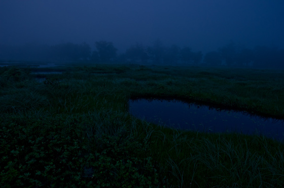 尾瀬・一泊撮影旅行