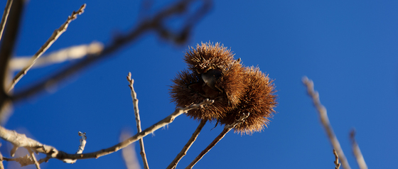 Lightroom 4 beta Test 2