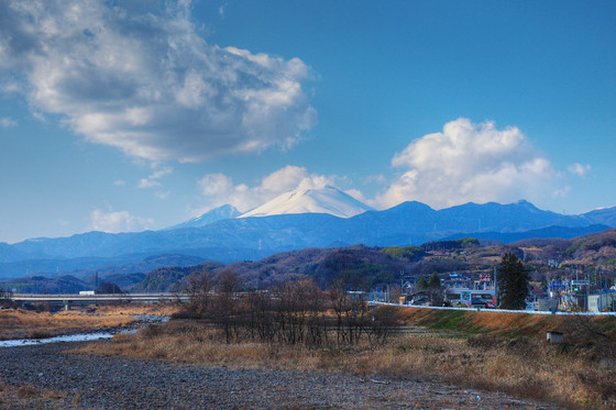 少林山七草大祭だるま市