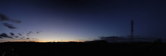 今日のお散歩写真