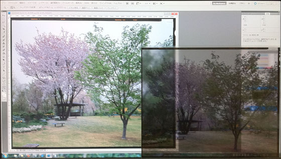 森を見ずして木ばかり見る