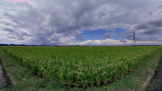 台風一過 2011/09/22