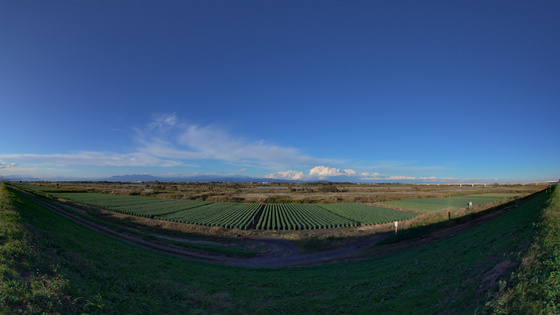 龍の巣だ・・・