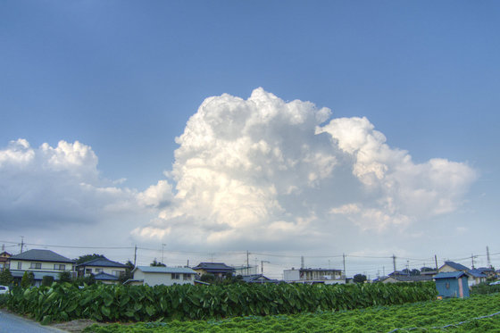 残暑お見舞い申し上げます