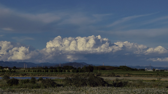 龍の巣だ・・・
