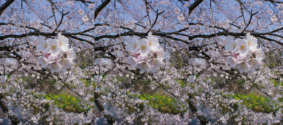 Sakura 2012 S3D No.2