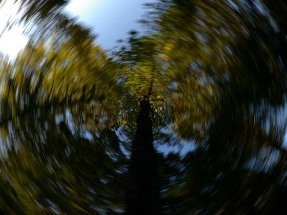 森林公園撮影会